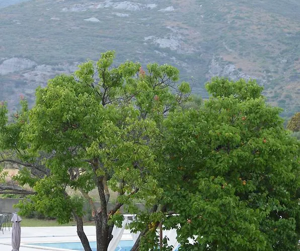 Apartmanhotel Aligis Kateliósz